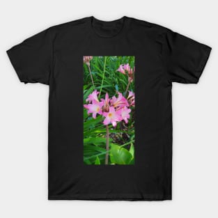 Belladonna Lily T-Shirt